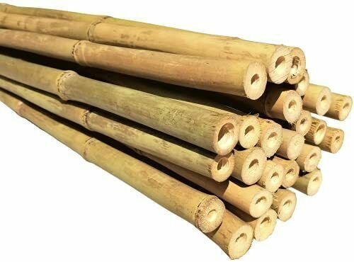 Bamboo Stakes: Support Your Plants With Bamboo Stakes!