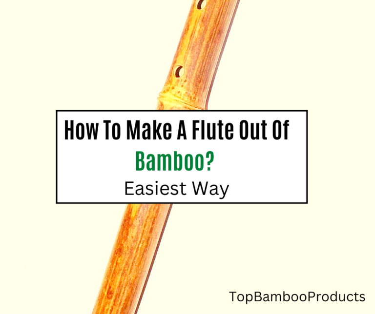 How To Make A Flute Out Of Bamboo? (Easiest Way)